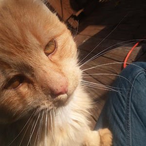 Meet your Posher, Lilly